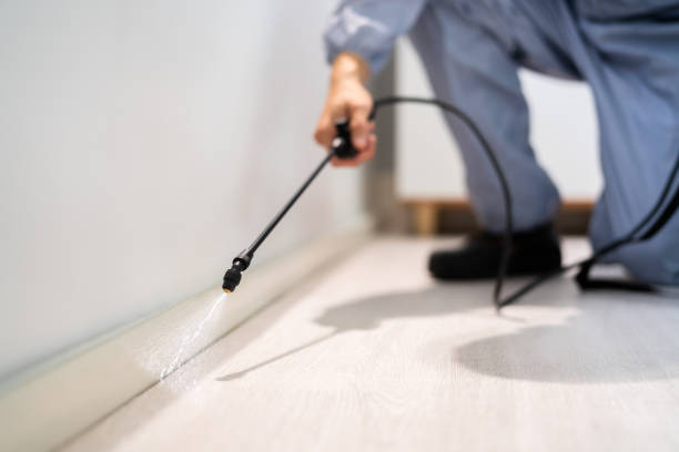 Licensed Fumigation Services service in Jasper County County, IL - Nex Pest Control